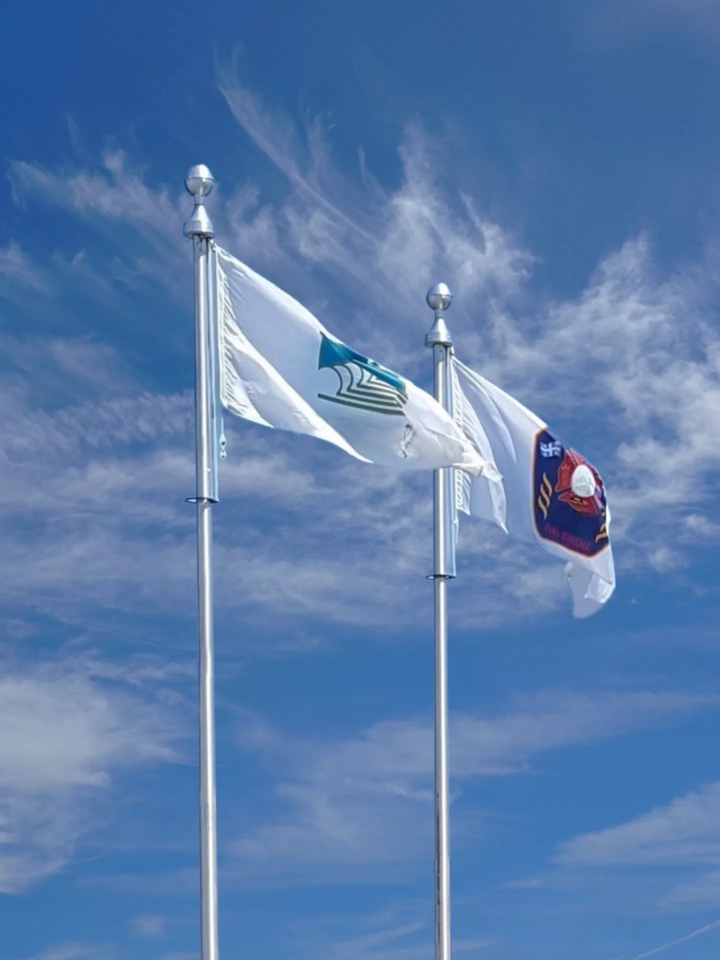 Drapeau personnalisé, Tecnima VL