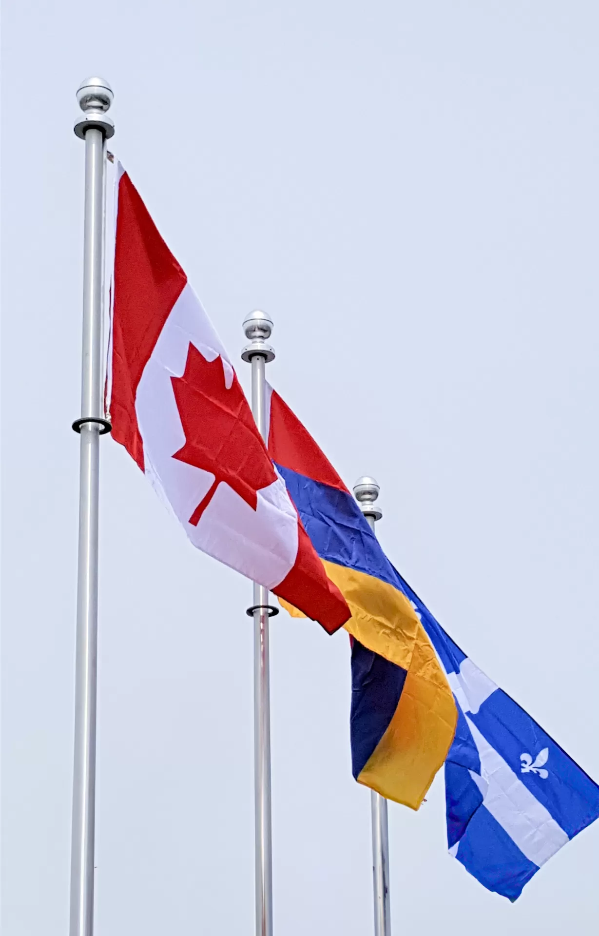 Chariot pivotant, Mât de drapeau, Type MC-20-SC