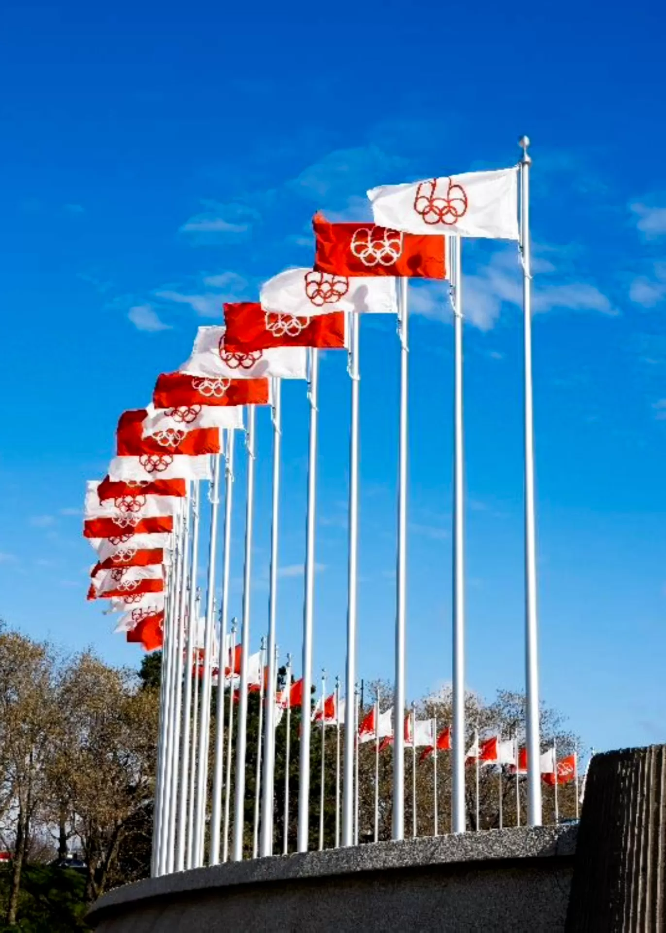 Projet spécial, Parc Olympique, Montréal, Fût, Tecnima VL