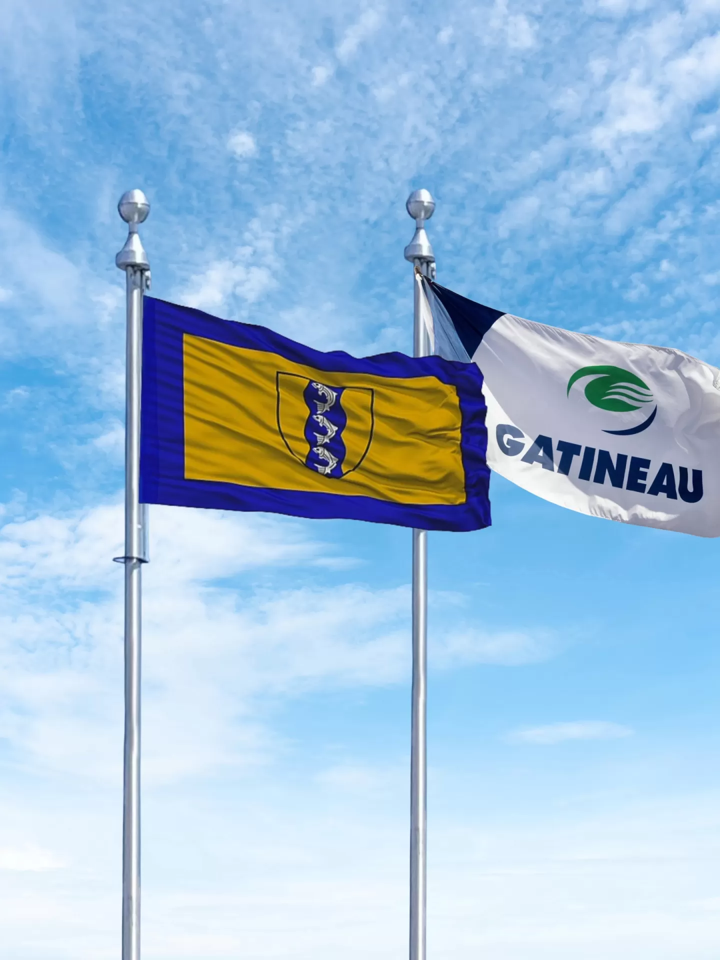 Drapeau personnalisé, commercial, Tecnima VL